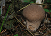 herbstwanderung-5