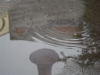 20090703051218_schaubudensommer-1