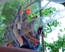 20090705100934_schaubudensommer-7