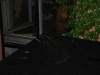 20090705102917_schaubudensommer-22
