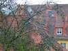 20091031065125_stolpen-6