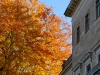 20091031071518_schloss-albrechtsberg-12