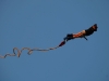 20090814194304_stadtfest-27