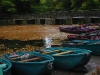 20081005064125_boote