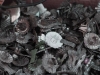 20090622072728_brn-6