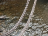 20081005083800_dsc_5772