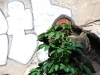 20090714140336_gruen-kommt