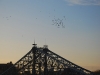 20091109145129_unterwegs-in-dresden-10