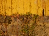 20091109145256_unterwegs-in-dresden-11