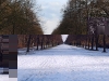 20100221174047_grosser-garten-4