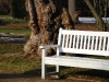20100221174129_grosser-garten-5