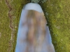 20100221185706_zabeltitz-4