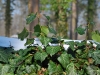 20100221185750_zabeltitz-3