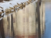 20100221185833_zabeltitz-2