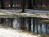 grosser-garten-3
