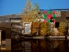 refl_e03198d74ca8986cb5adfc06cdbbfd24_20081012094559__3-etage-gruen