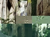 20090315065126_gasse