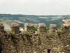 20090315065219_zinnen