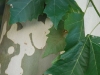 20090915152737_diesbar-seusslitz-14