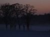 20100106103223_winter-impressionen-1