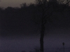 20100106103255_winter-impressionen-2