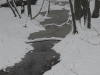 20100106103409_winter-impressionen-4
