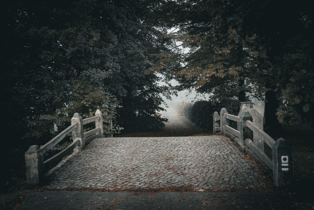 ruhiges Gehen im Wald