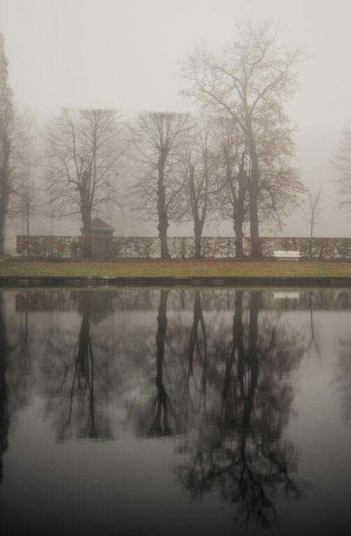 Schlosspark Zabeltitz im Nebel