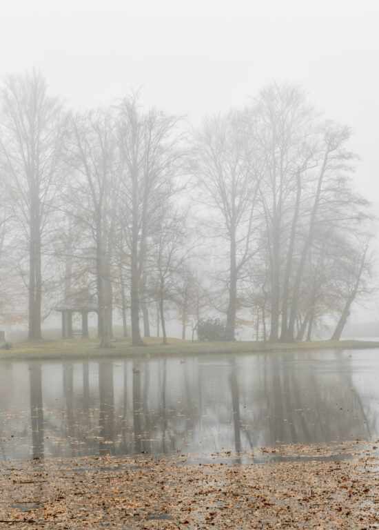 Schlosspark Zabeltitz im Nebel