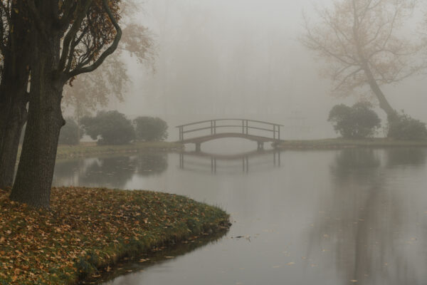 Schlosspark Zabeltitz im Nebel