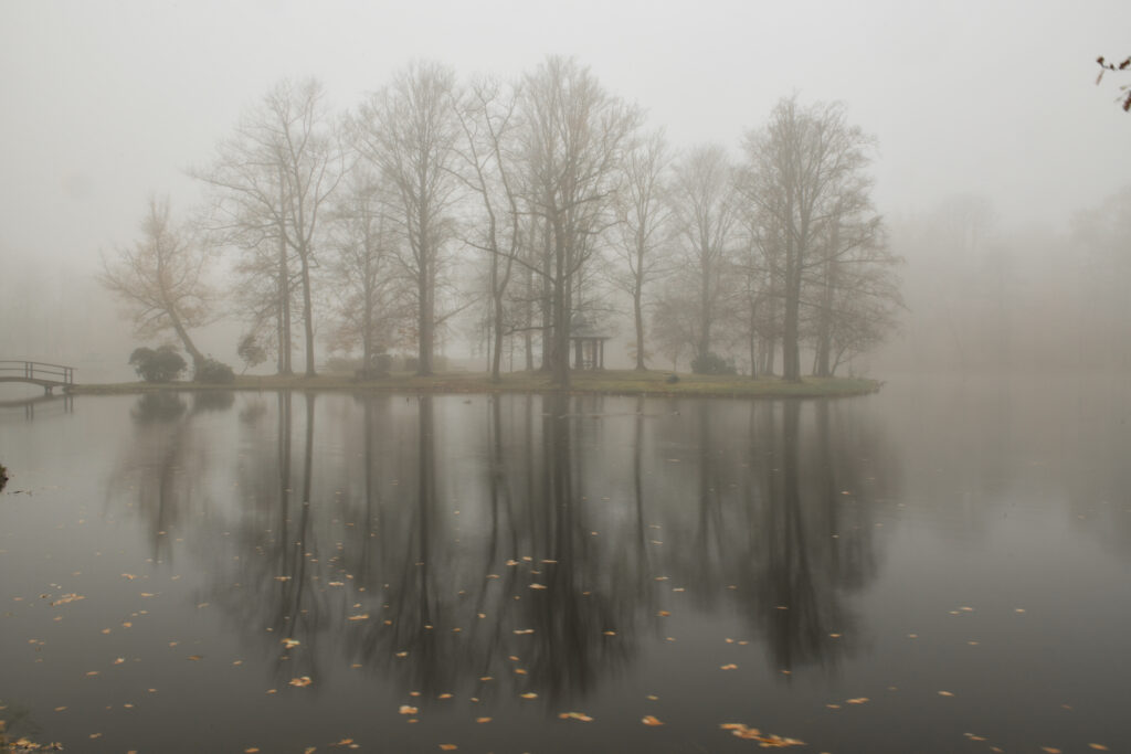 Schlosspark Zabeltitz im Nebel