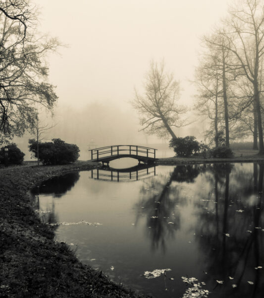 Schlosspark Zabeltitz im Nebel