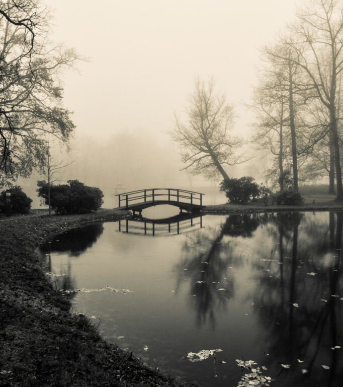 Schlosspark Zabeltitz im Nebel