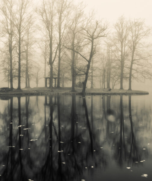 Schlosspark Zabeltitz im Nebel