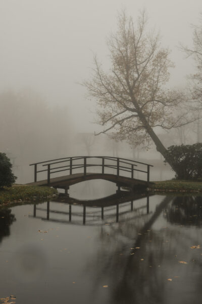 Schlosspark Zabeltitz im Nebel