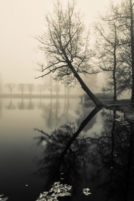 Schlosspark Zabeltitz im Nebel