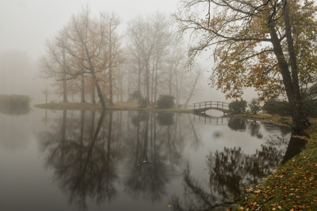 Schlosspark Zabeltitz im Nebel