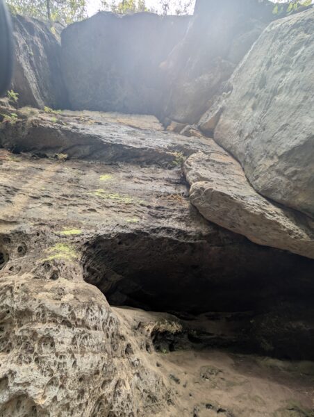 Felswand an der Diebeshöhle im Elbsandsteingebirge