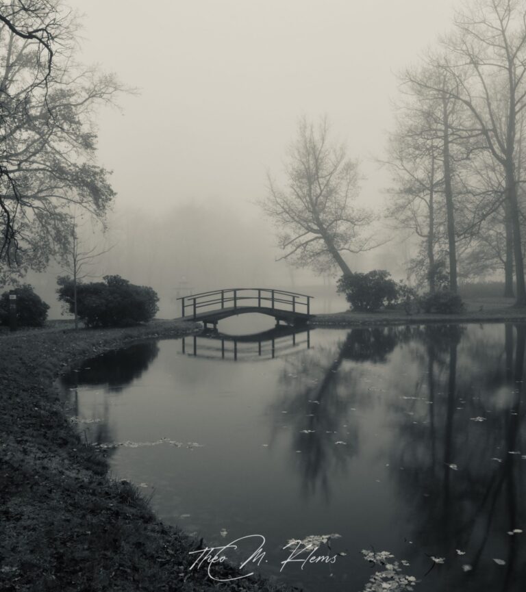 Schlosspark Zabeltitz im Nebel