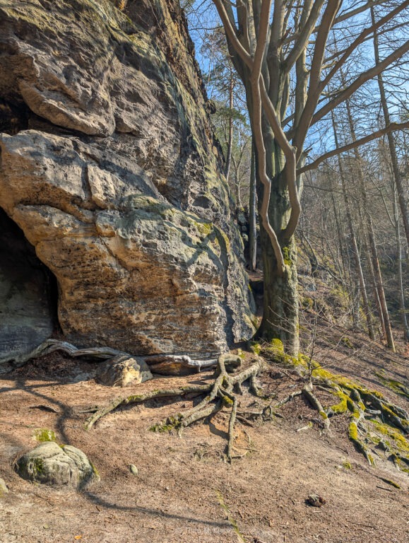 Sandsteinformation in der Sächsischen Schweiz mit typischen Verwitterungsstrukturen im Elbsandsteingebirge