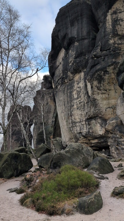 Der Frienstein, über die Wälder der Sächsischen Schweiz