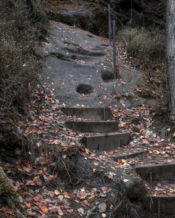 Felsstufen im Aufstieg zum Arnstein im Elbsandsteingebirge