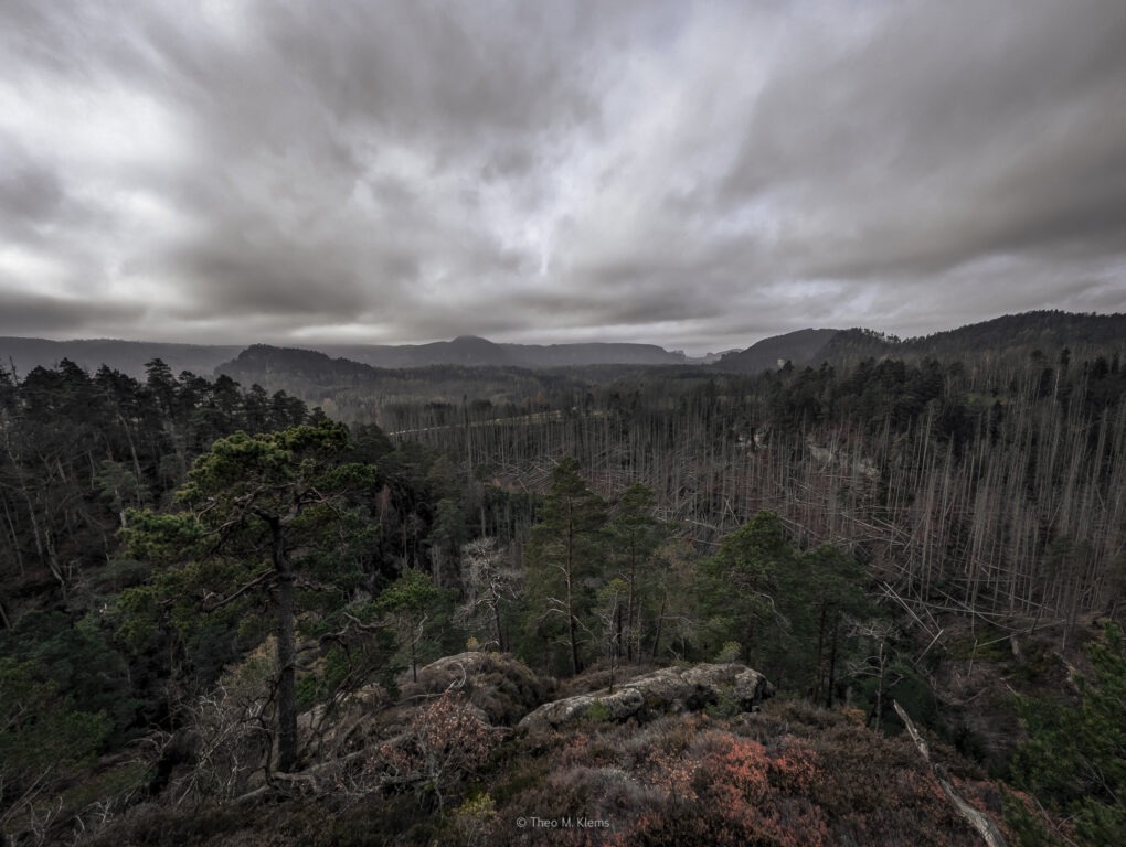 Blick vom Arnstein über die Wälder der Sächsischen Schweiz
