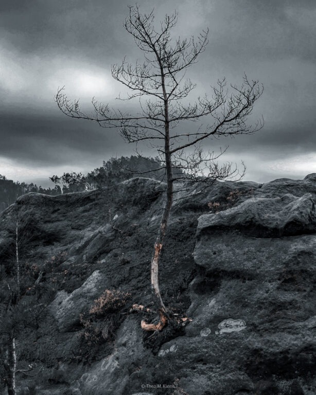 Felsplateau auf dem Arnstein im Kirnitzschtal