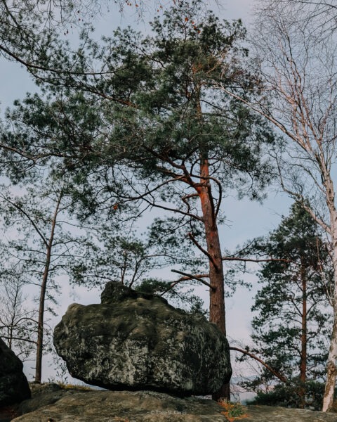 Blick vom Großen Pohlshorn in der Sächsischen Schweiz