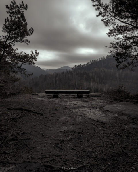 Waldweg zwischen Arnstein und Kleinstein mit Wurzeln und Felsen