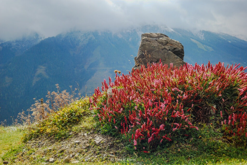 Blick über das Tal bei Viehhofen im Salzburger Land mit Wolken und Bergen. Innehalten beim Wandern – Wahrnehmung und Beobachtung der Landschaft