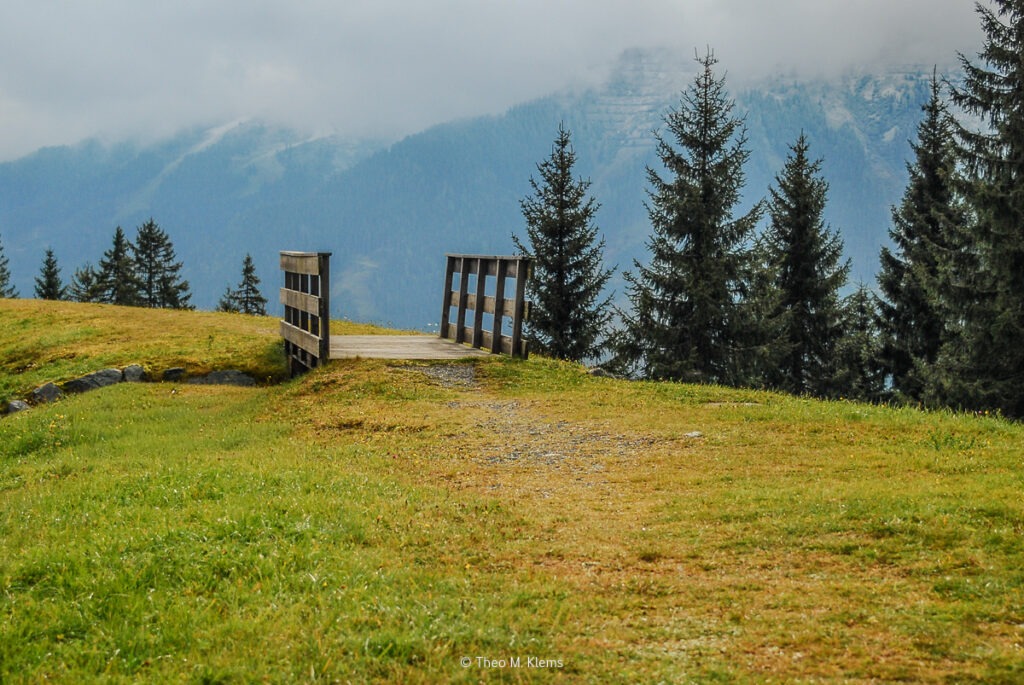 Schmaler Wanderweg mit kleiner Holzbrücke auf einer Alm oberhalb von Viehhofen