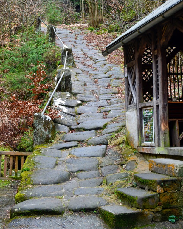 Wanderweg von der Buschmühle in Richtung Großer Teichstein – ruhiger Waldpfad in der Sächsischen Schweiz