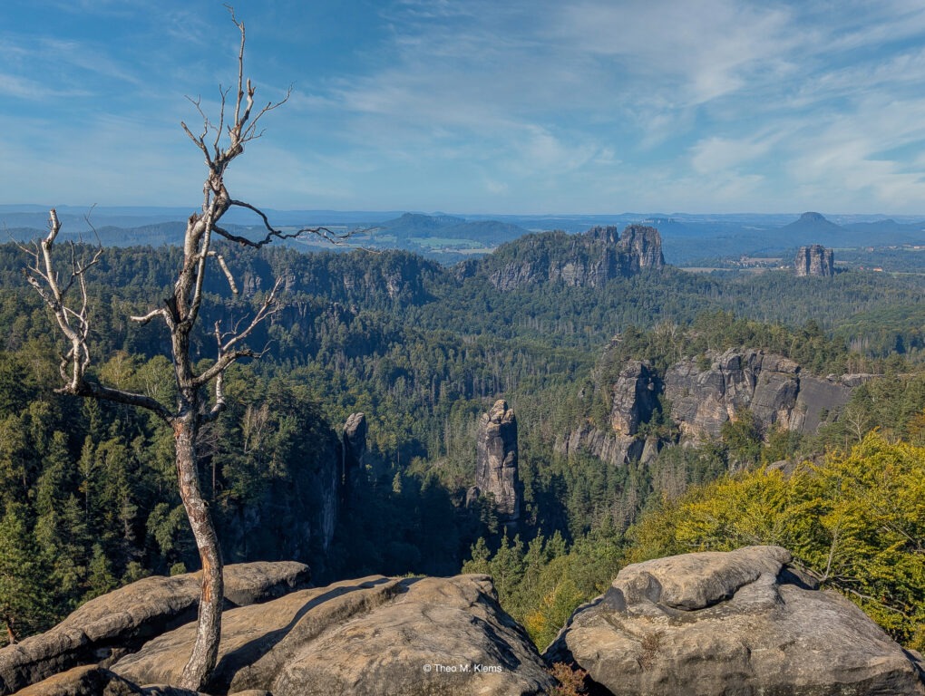 Aussicht vom Carolafelsen in den Schrammsteinen über das Elbtal